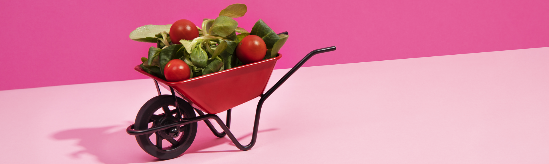 Magdala Gyermekekért Alapítvány